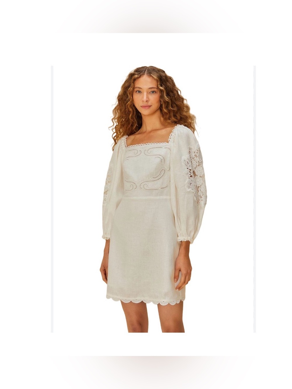 Farm Rio Embroidered Euroflax 100% Linen Mini Dress medium $260